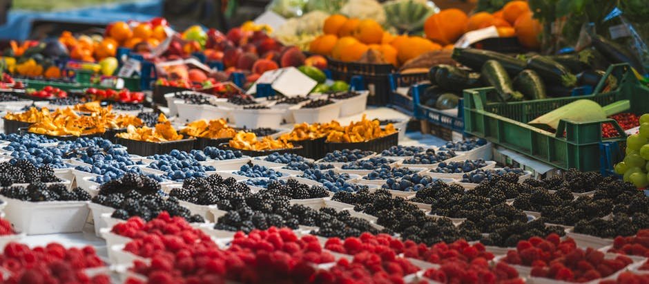 Free stock photo of backgrounds, berry, berry fruit